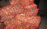 Овощи оптом (картофель,  свекла)