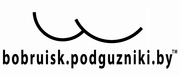 http://bobruisk.podguzniki.by/